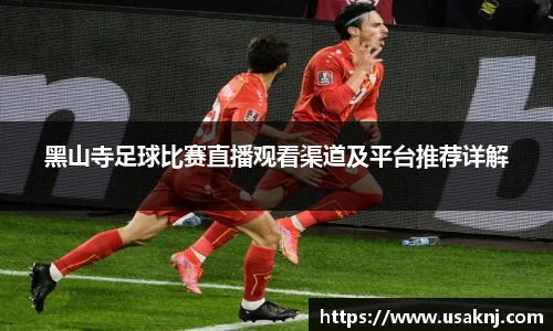 三亿体育新版本