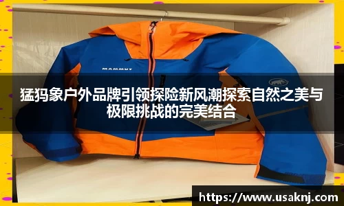 三亿体育新版本